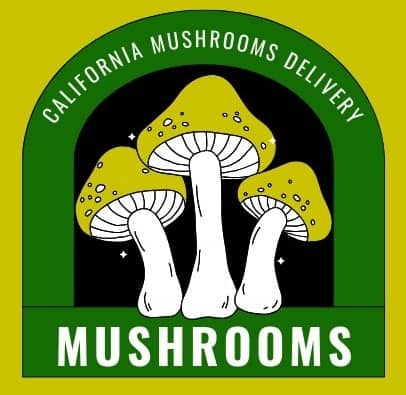 Buy Mushrooms California, USA