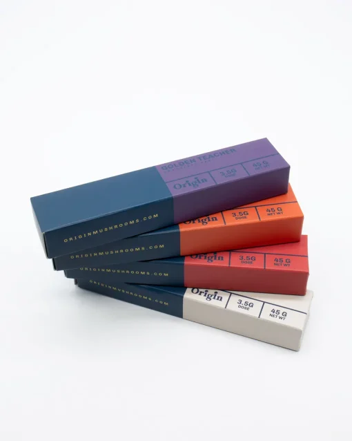 chocolate-golden-teacher-group-11-01-21v2-510x638
