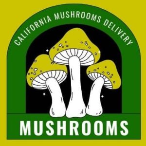 Buy Psychedelics online in California, California Mushrooms Shop, California Mushrooms Delivery